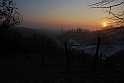 S. Damiano d'Asti - Alba_011